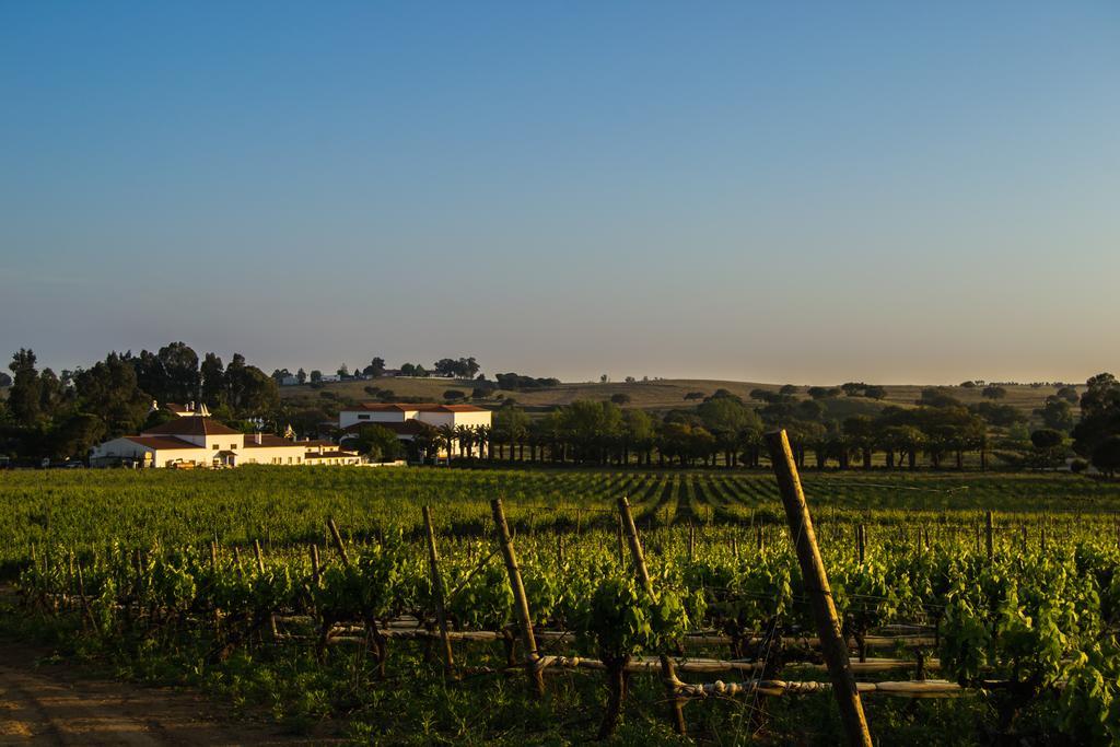 Azaruja Herdade Da Calada מראה חיצוני תמונה